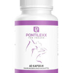 Pontilexx 60 Kapsül